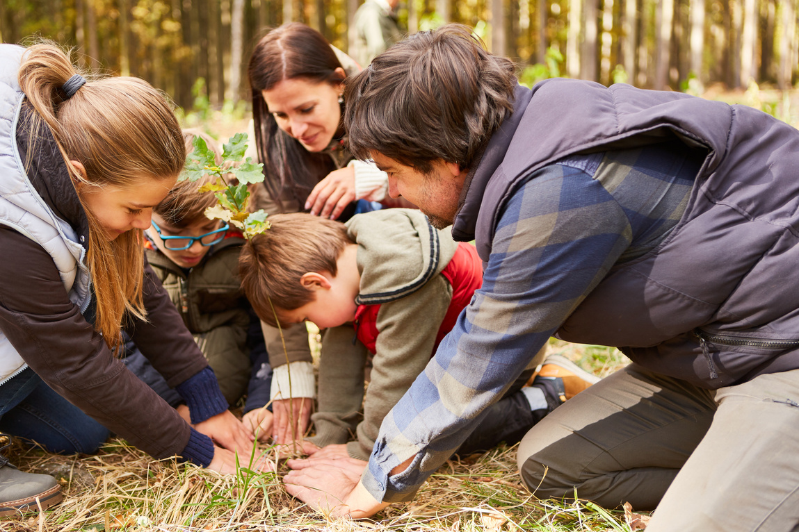 and Children Planting Trees in the Forest